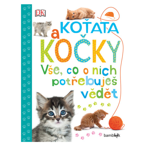 Koťata a kočky - Vše, co o nich potřebuješ vědět, Millsová Andrea