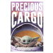 ME Plagát Star Wars: The Mandalorian - Precious Cargo 041