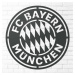 Drevené logo klubu - FC Bayern Munchen