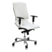 ASANA Seating Ergonomická kancelárska stolička Asana Steel Standard Farba čalúnenia: Eko koža Ze
