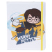 Diárové puzdro na tablet 10-11" Harry Potter Harry Broom