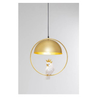 Animal Cockatoo visiaca lampa