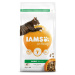 IAMS Cat Adult Salmon 2kg