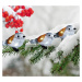 Reťaz MagicHome Vianoce A Bird, 25x LED, IP44, 3xAA, osvetlenie, 5 vtáčikov