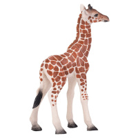 Mojo Žirafa mláďa