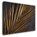 Impresi Obraz Zlatý detail palma - 60 x 40 cm