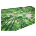 Protiskluzová 3D předložka Koruny stromů - 60x120 cm Apextextil koberce
