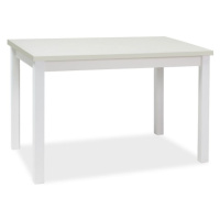 Signal Jedálenský stôl ADAM | 100 x 60 cm FARBA: biely mat