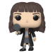 Funko POP! Harry Potter Chamber of Secrets Anniversary: Hermione Granger