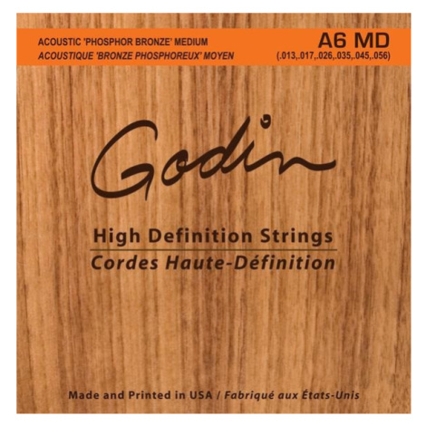 Godin Strings Acoustic Guitar MD