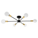 Toolight - Lampa spider-6 APP501-6C, čierna-zlatá, OSW-01100