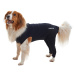 BUSTER Body&Zadné nohy ochranný oblečok pre psa 1 ks, Veľkosť: XXXS