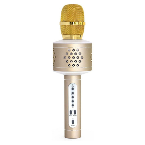 Mikrofón karaoke Bluetooth zlatý Teddies