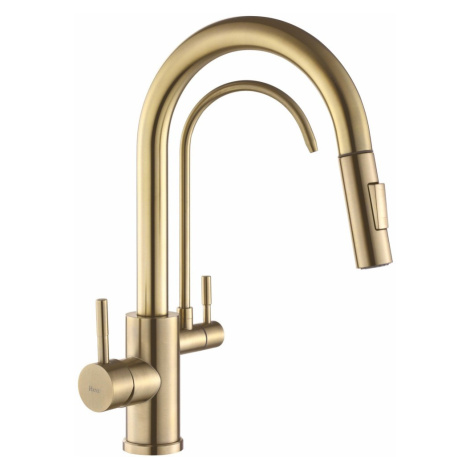 REA - Kuchynská batéria Eco Fresh BRUSH GOLD REA-B7596