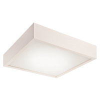 LED stropné svietidlo Lamkur LED LD-PD 9.2 32764