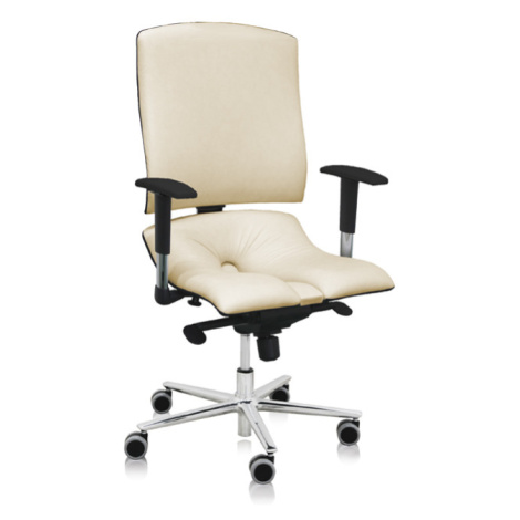 ASANA Seating Ergonomická kancelárska stolička Asana Steel Standard Farba čalúnenia: Eko koža Kr