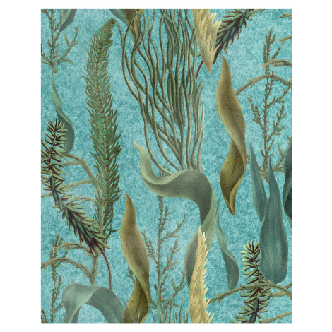 MINDTHEGAP Aquatic Plants Aquamarine