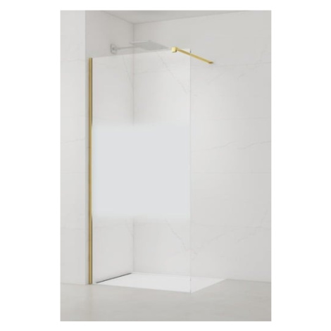 Sprchová zástena walk-in 100 cm SAT SATBWI100MPPRZ