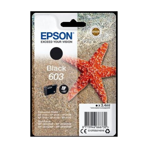 Epson singlepack, Black 603