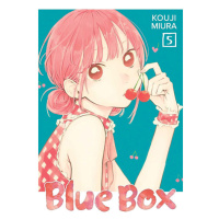 Viz Media Blue Box 5