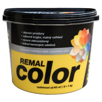 REMAL COLOR - tónovaný maliarsky náter s jemnou vôňou 2,5 kg 0190 - tmavošedá