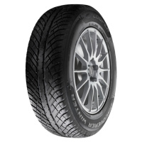 Cooper Discoverer Winter ( 225/50 R17 98H XL )