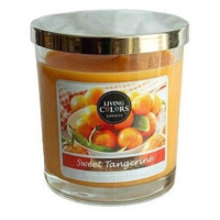 CANDLE LITE Living Colors SWEET TANGERINE 141 g