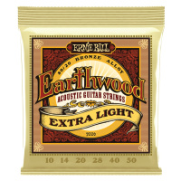 Ernie Ball 2006 Earthwood 80/20 Bronze Extra Light