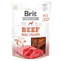 BRIT Snack Jerky Beef and chicken Fillets 80 g