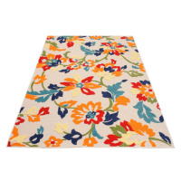 TA Farebný kvetinový koberec Flora Rozmer: 160x230 cm
