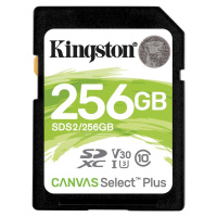 Kingston SDS2/256GB
