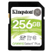 Kingston SDS2/256GB