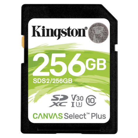 Kingston SDS2/256GB