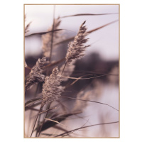 Plagát v ráme 50x70 cm Mellow Grasses 3 – Malerifabrikken