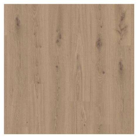 Vinylová podlaha SPC Delicate Oak Chesnut 4,2mm 23/33 Tarkett