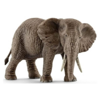 Schleich Samica slona afrického