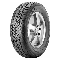 MAXXIS 175/65 R 15 88T WP05 TL XL M+S 3PMSF