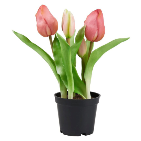 FLORISTA Tulipány "Real Touch" v kvetináči - sv. ružová