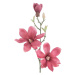 Umelé kvety v súprave 10 ks (výška 69 cm) Magnolia – AmeliaHome