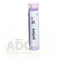 POLLENS GRA CH30 4G