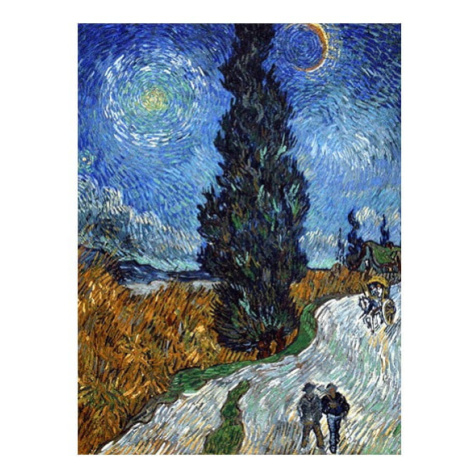 Reprodukcia obrazu Vincent van Gogh - Country Road in Provence by Night, 60 x 45 cm Fedkolor