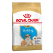 Royal Canin BHN BULLDOG PUPPY granule pre šteňatá anglického buldoga 3kg