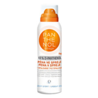 OMEGA Panthenol pena v spreji 10% ľadový efekt 200 ml