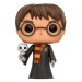 Funko POP! Harry Potter Triwizard with Hedwig Limited Edition