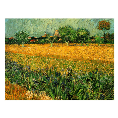 Reprodukcia obrazu Vincenta van Gogha - View of arles with irisos in the foreground, 40 × 30 cm Fedkolor