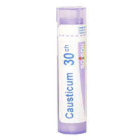 CAUSTICUM CH30 granule 4 g