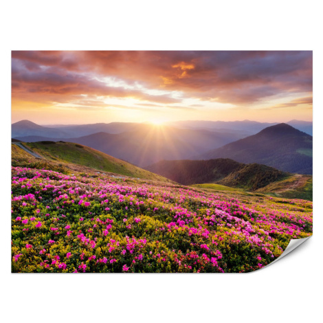 Muralo FOTOTAPETA Pre Obývačku Západ Slnka Hory Lúka Kvety 150 x 105 cm
