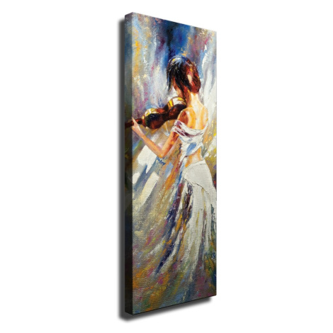 Obraz na plátne Violin beauty PC206 30x80 cm