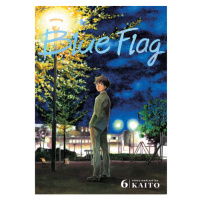 Viz Media Blue Flag 6