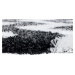 TA Čierno-biely plyšový koberec so vzorom Sabrina Rozmer: 160x220 cm
